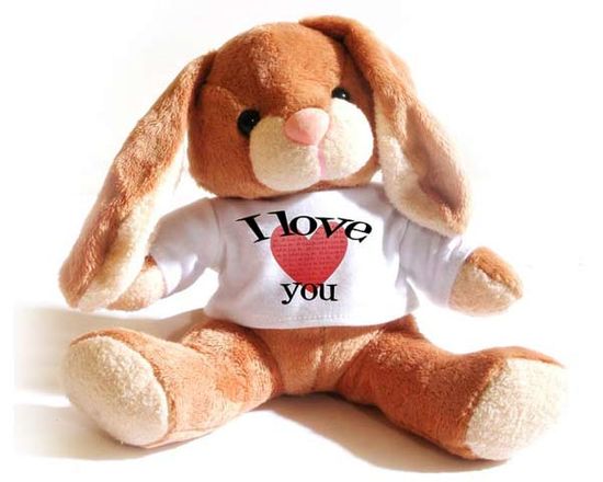 Peluche Coniglio con Foto